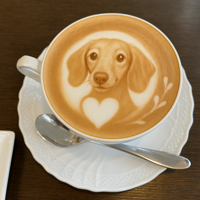 Nutsさんのアイコン（ラテアートの犬）